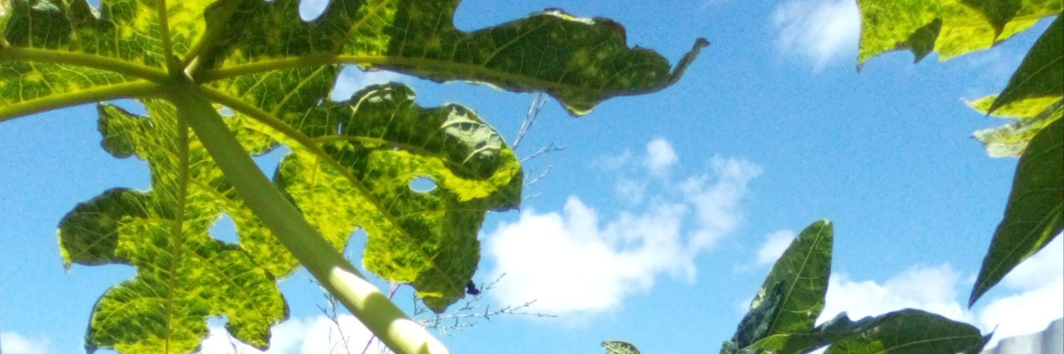 BahHawi's profile banner image