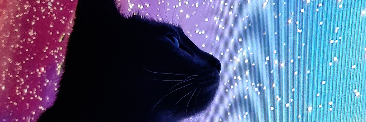 HeoZ's profile banner image