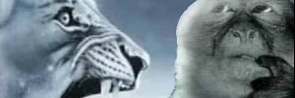 moren banner