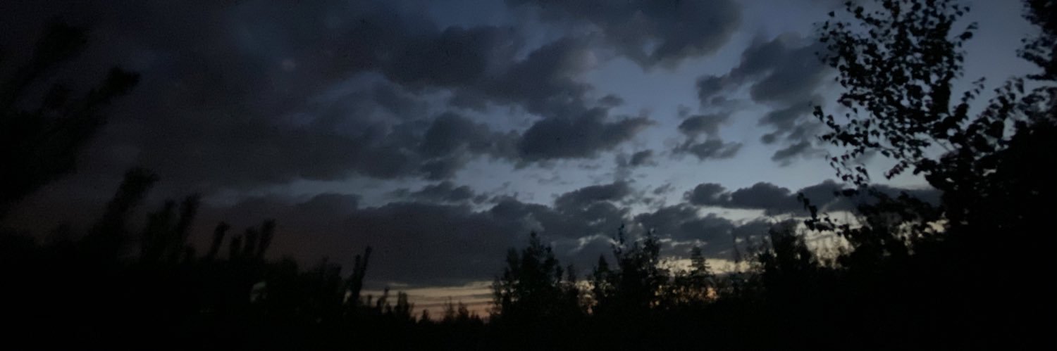 chernova_1999's profile banner image