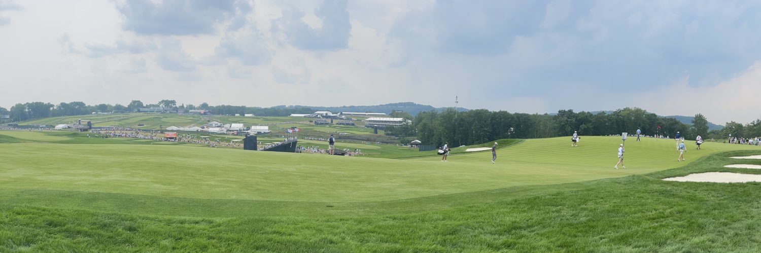 TheSwingGuru banner