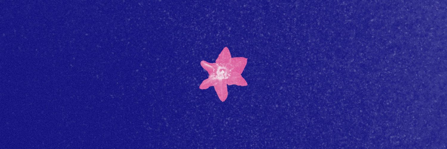 bbybirth's profile banner image