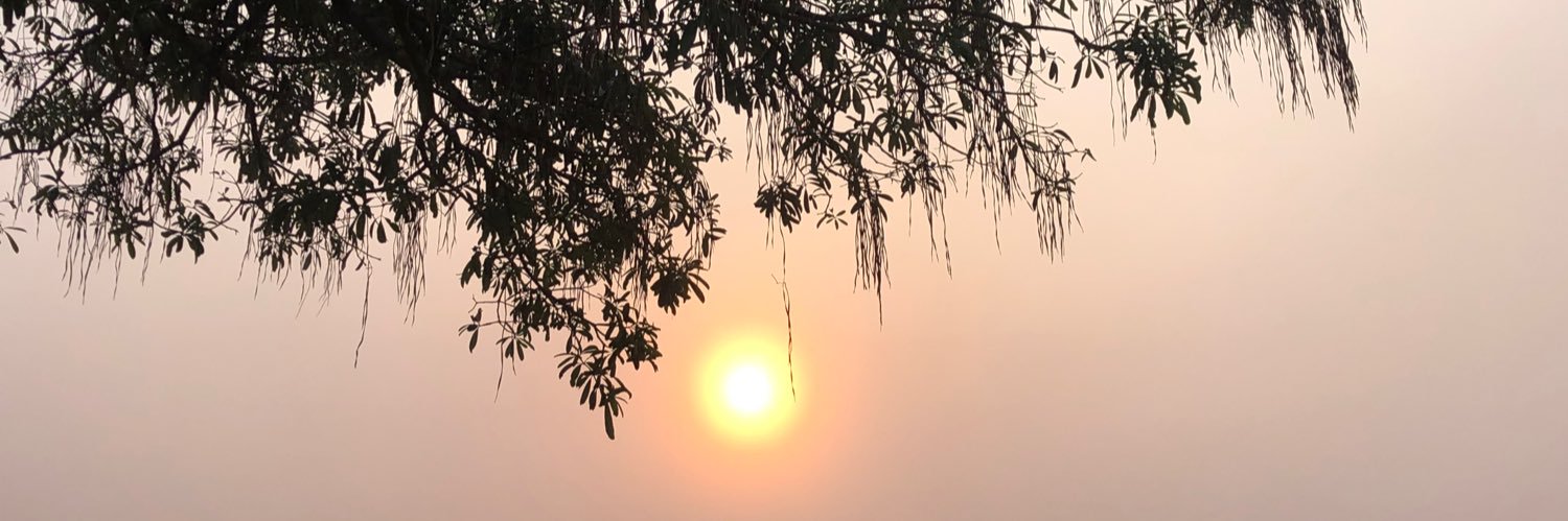 Nguyễn Đỗ Thanh Lan banner