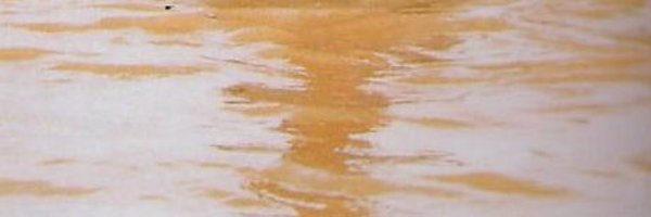 _15R Profile Banner