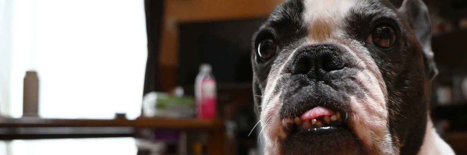 HighDORA's profile banner image