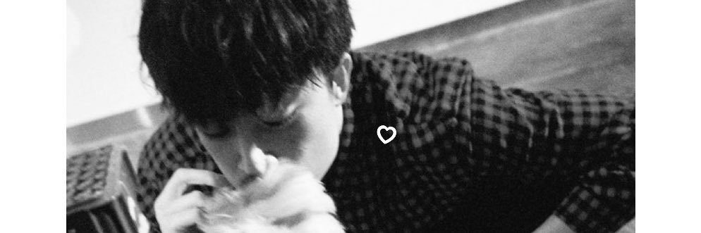 alnk84's profile banner image