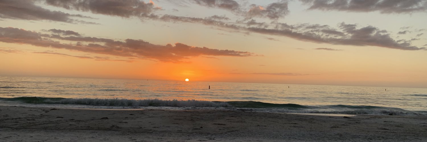 Mark Alexander banner