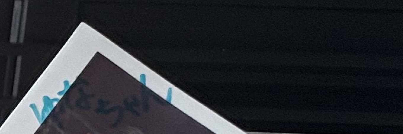 ₍ ᐢ..ᐢ ₎ᐝ banner