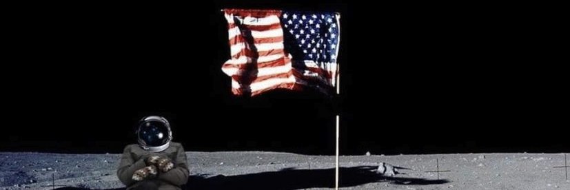 awalton's profile banner image