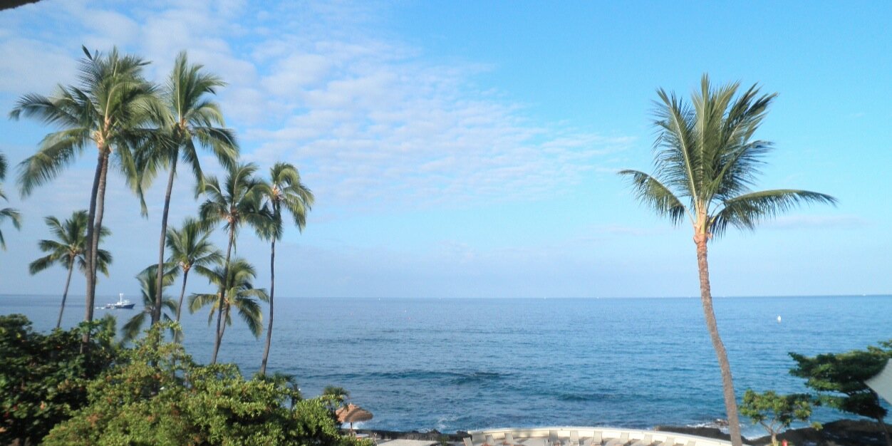 terrioconnell's profile banner image