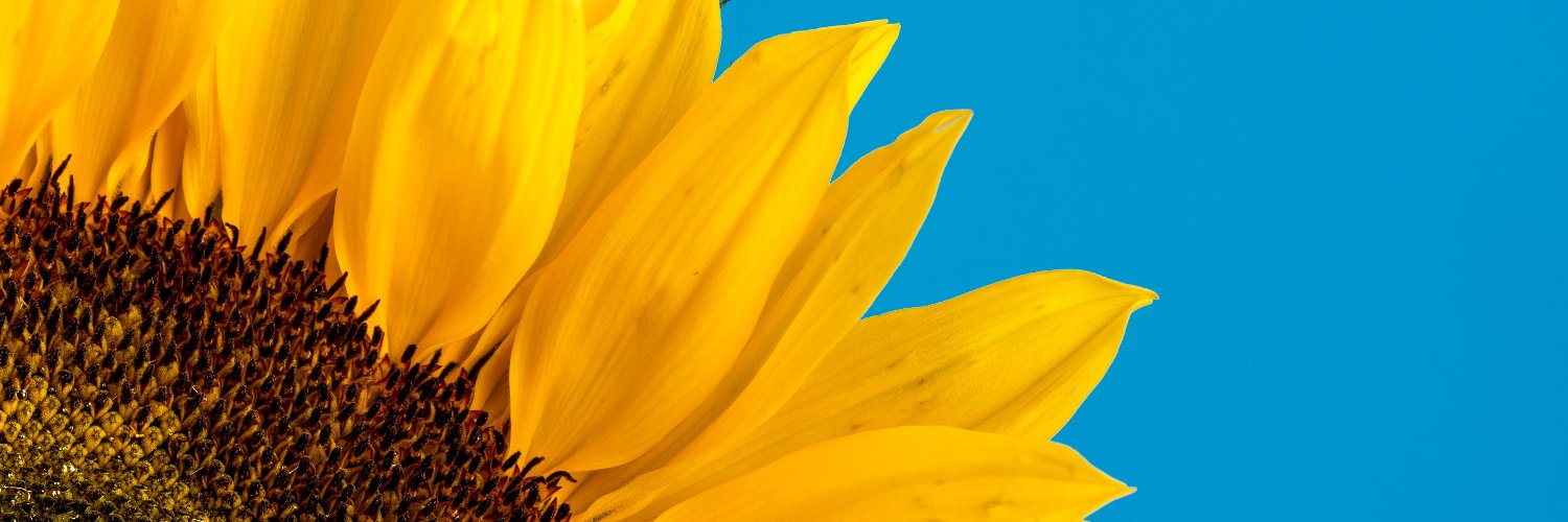 eap_ucr's profile banner image
