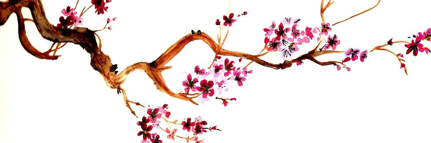 aylnepta's profile banner image