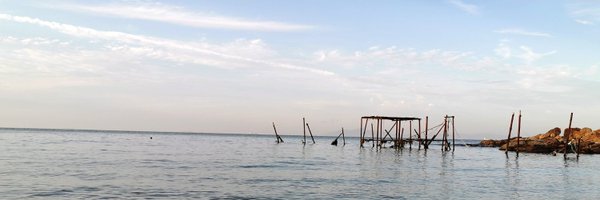 rocjiang Profile Banner