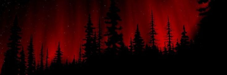 triggered_fully's profile banner image