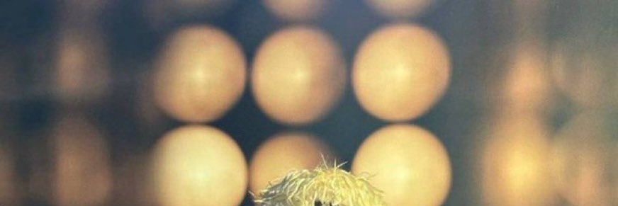 MrSecretOne's profile banner image