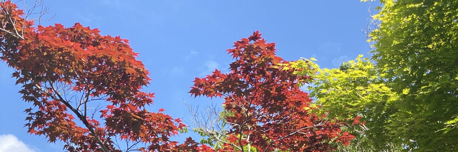 jupucr's profile banner image
