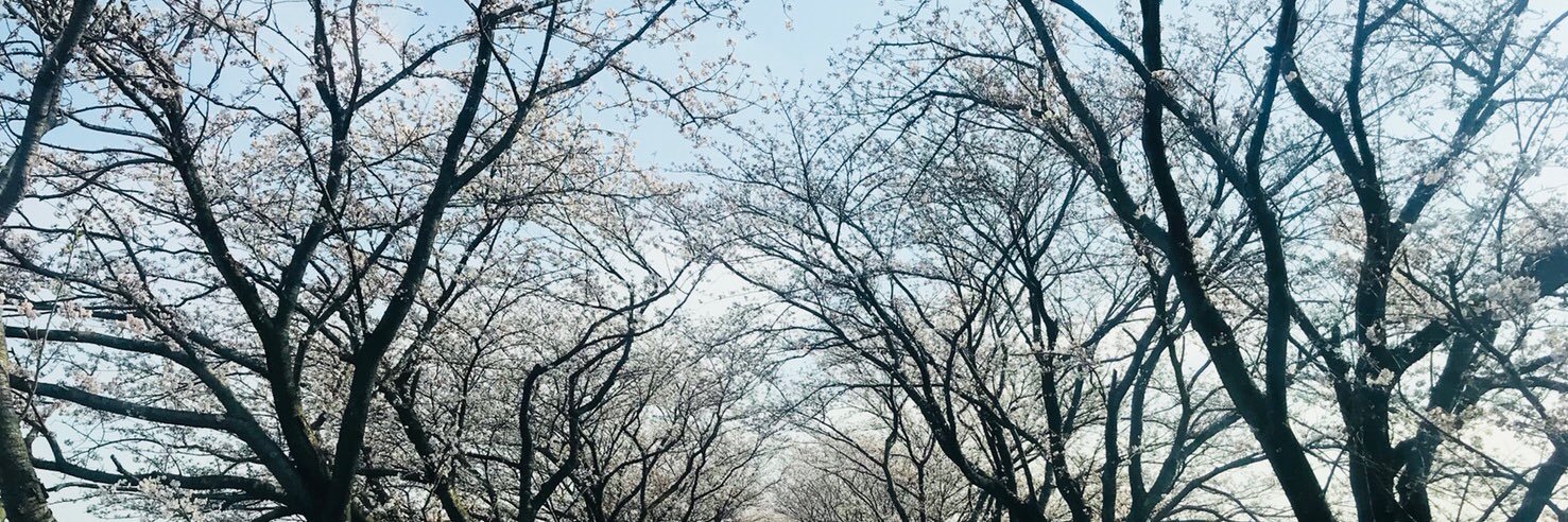 ren_b_lover's profile banner image