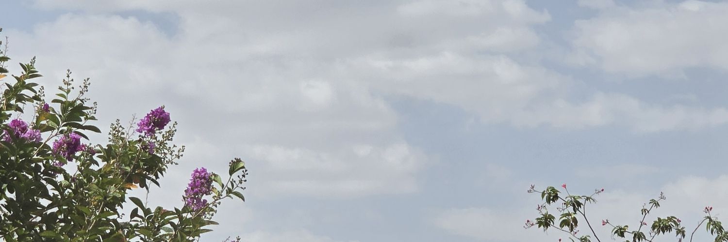 startbright0's profile banner image