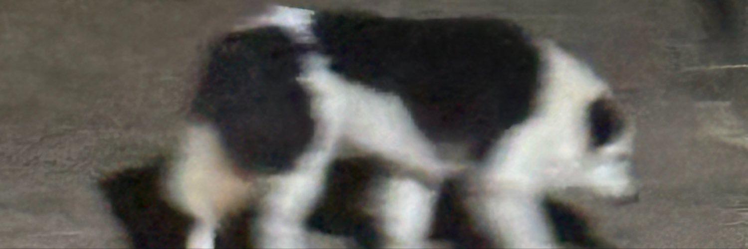 arthekkjk's profile banner image