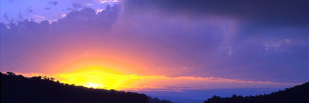 fermin33's profile banner image