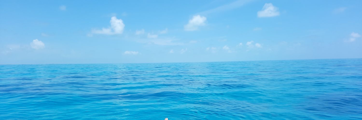 afguy31's profile banner image