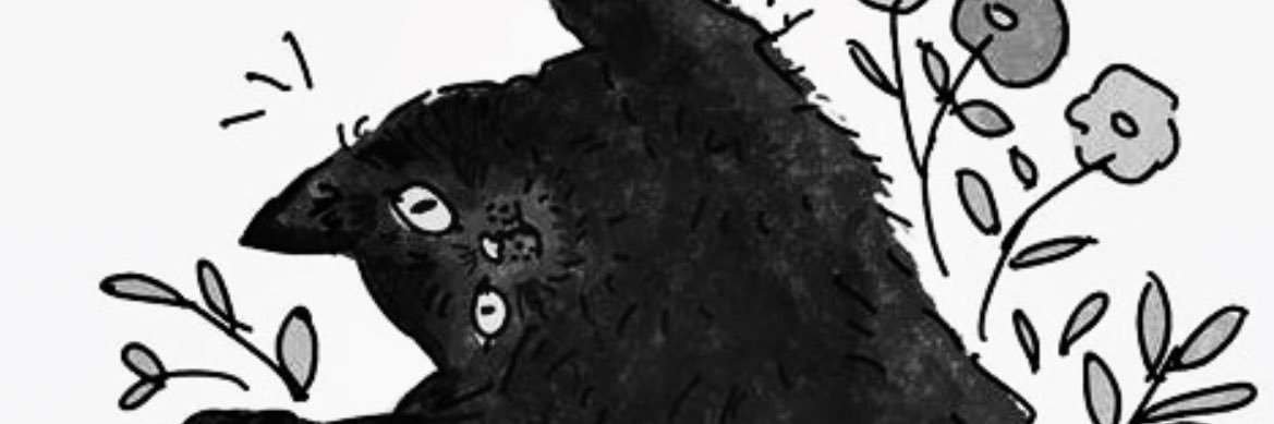 Meganelbr's profile banner image