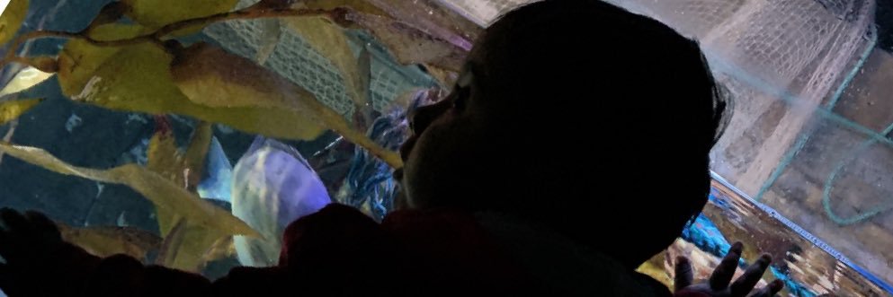Mrskraxyfire's profile banner image