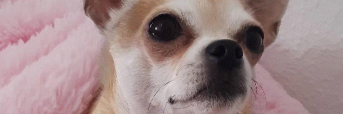 almuux's profile banner image
