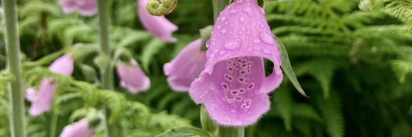 litworksceo Profile Banner