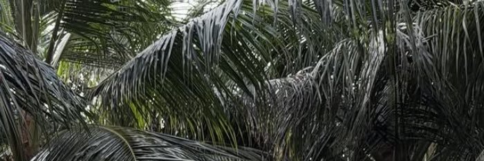 Alblll's profile banner image