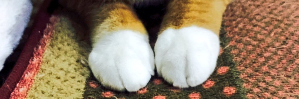 knm_LB518's profile banner image