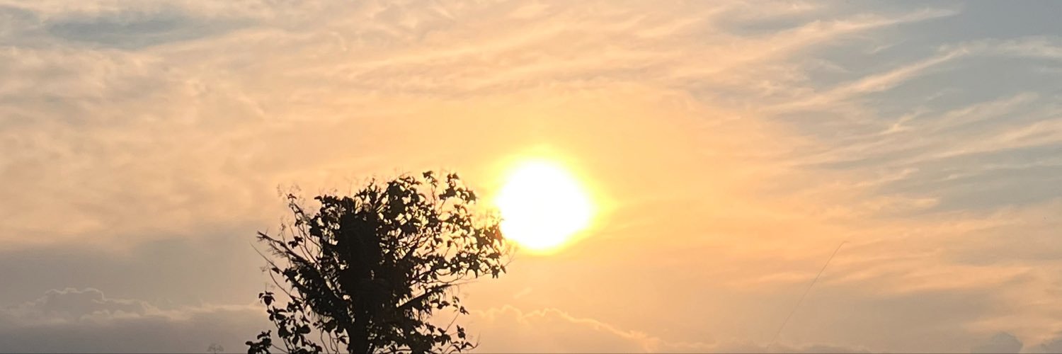 VinneeThePooh's profile banner image