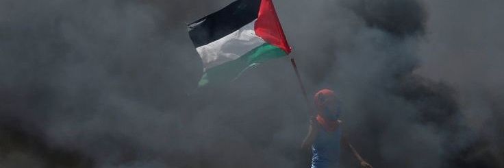 Ola💥 🇵🇸 banner