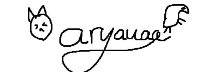 aryauaa's profile banner image