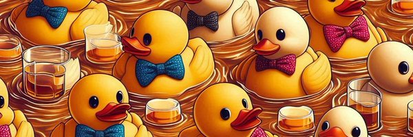 igarikasu1 Profile Banner