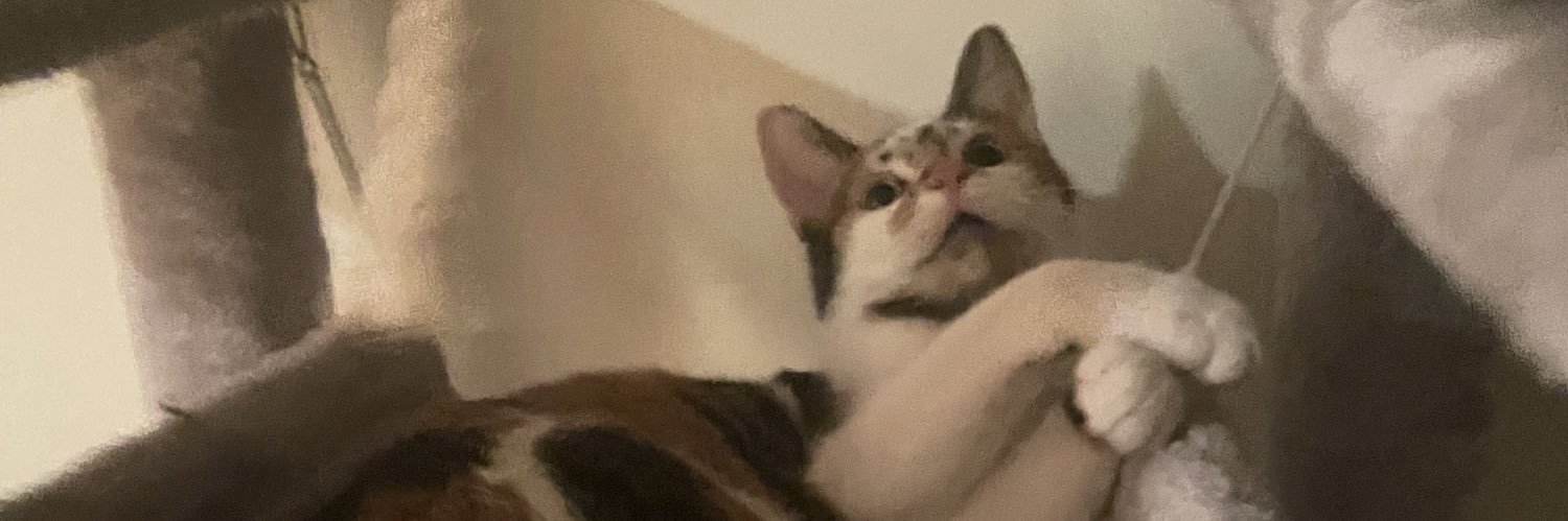 emilykurt_'s profile banner image