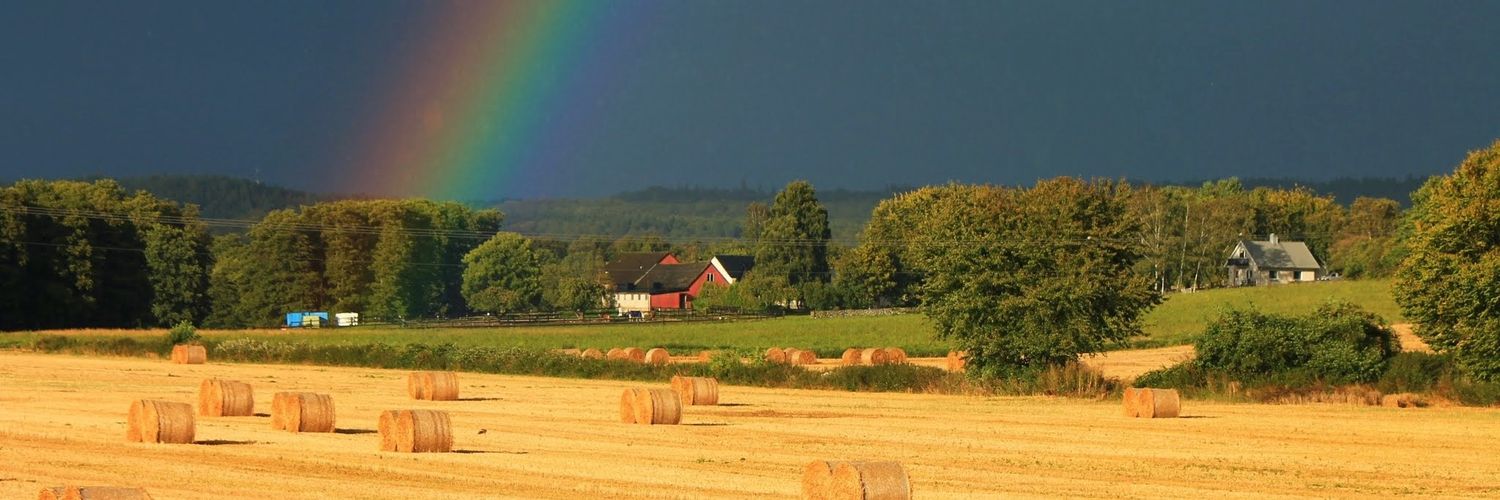 Rickykatten's profile banner image