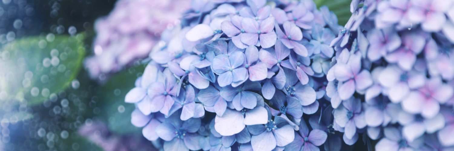 _m02a_'s profile banner image