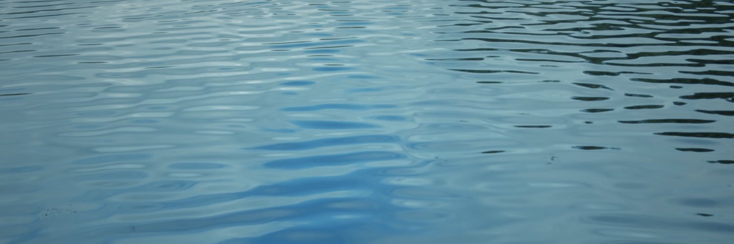 Pink Sea banner