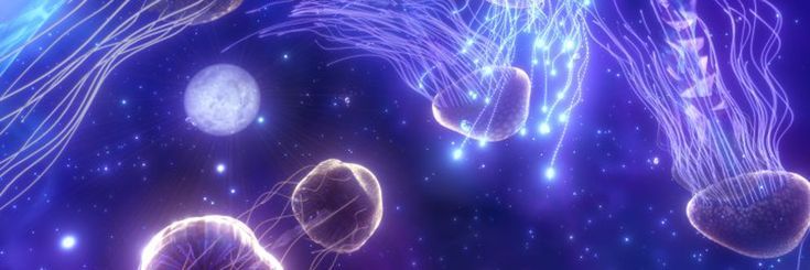 Myst Lohikäärme 💫 banner