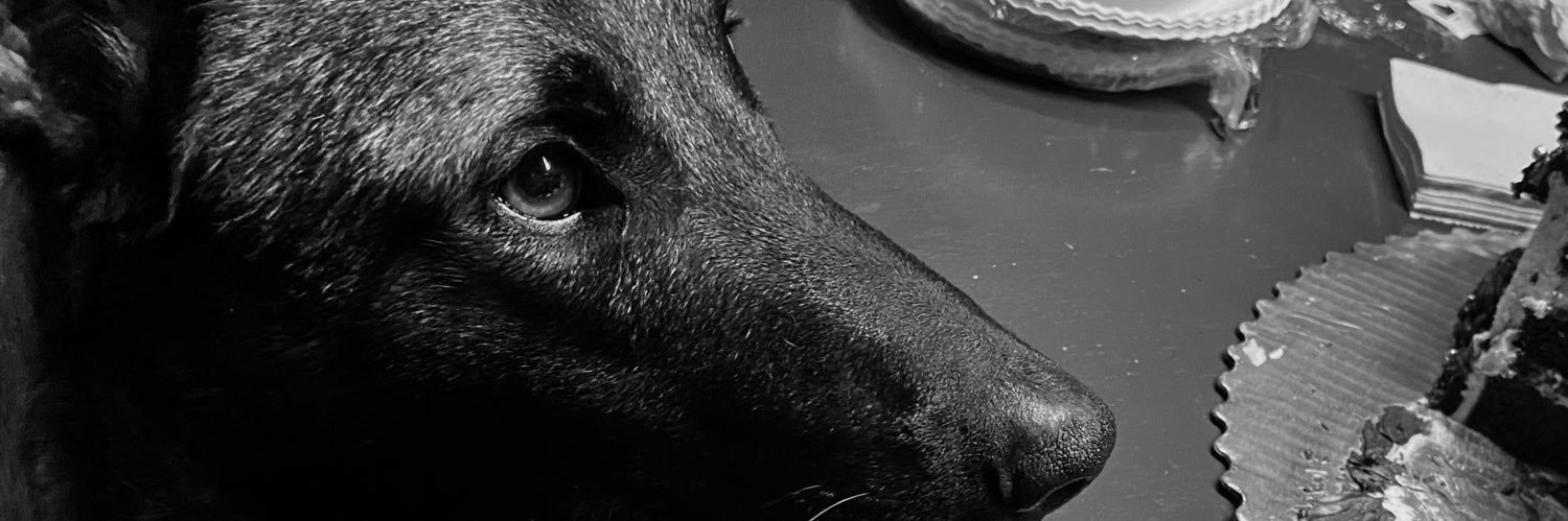 ✩ banner