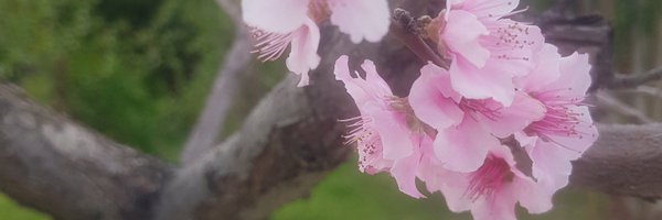 lkKal1 Profile Banner