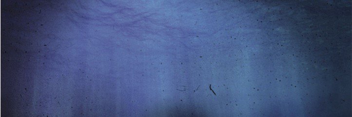 transistorsend's profile banner image