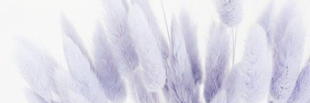 yldysmmm's profile banner image