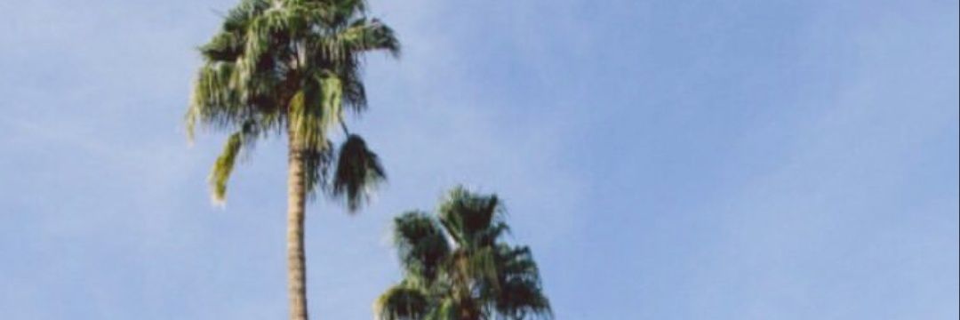 nns_98's profile banner image