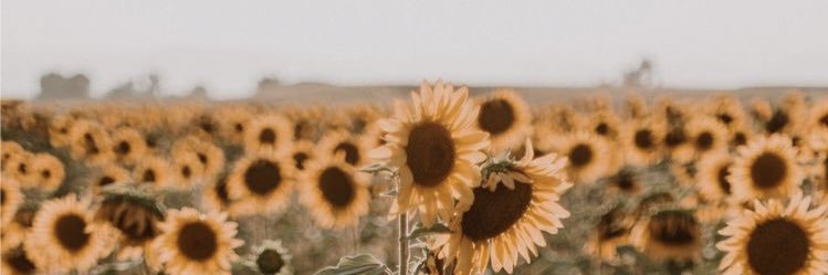 sydneysmallwoo2's profile banner image