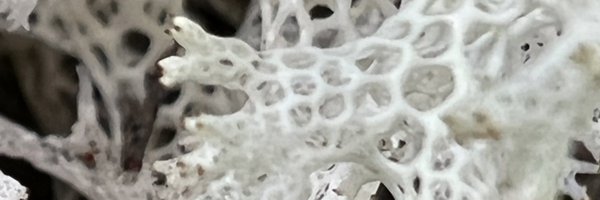 DrDavid_Edmonds Profile Banner