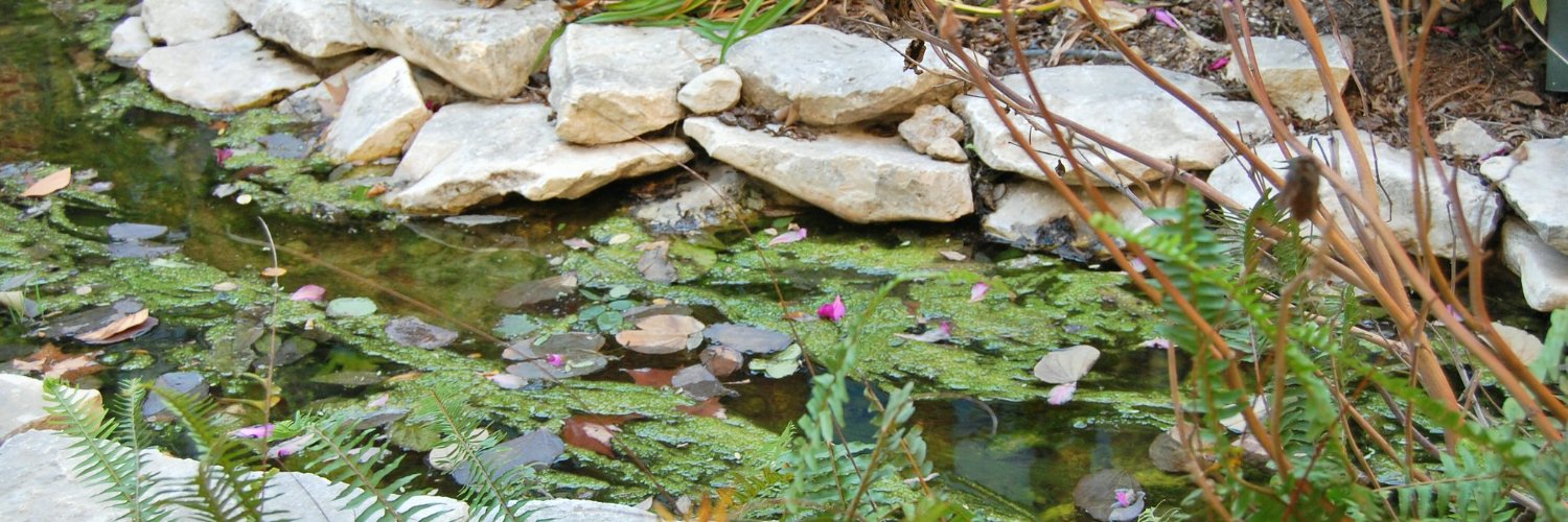 Erica Bryand Ramirez banner