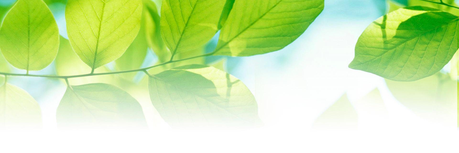 soesterhof's profile banner image