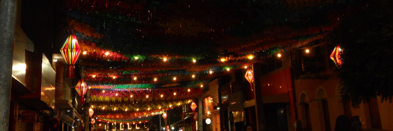 anna🪭 banner
